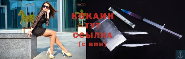 сатива Весьегонск