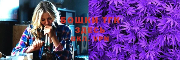 ешки Новодвинск