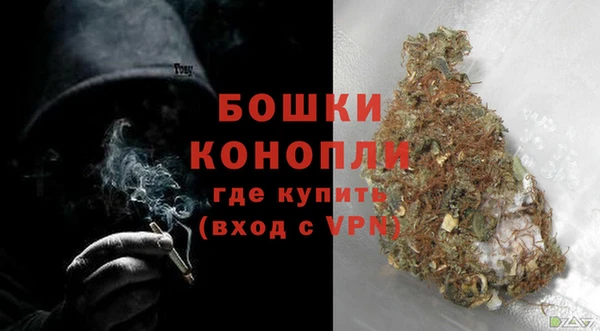 сатива Весьегонск