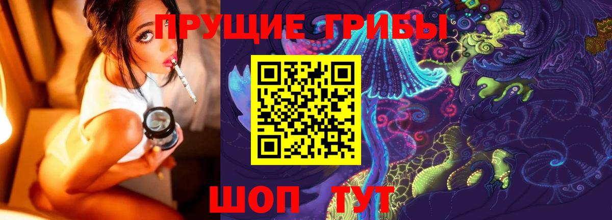 Кропоткин  Галлюциногенные грибы Psilocybe  где купить   Вход с VPN 