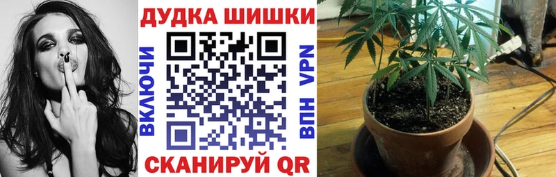 Бошки марихуана индика  кракен как зайти  Кропоткин 